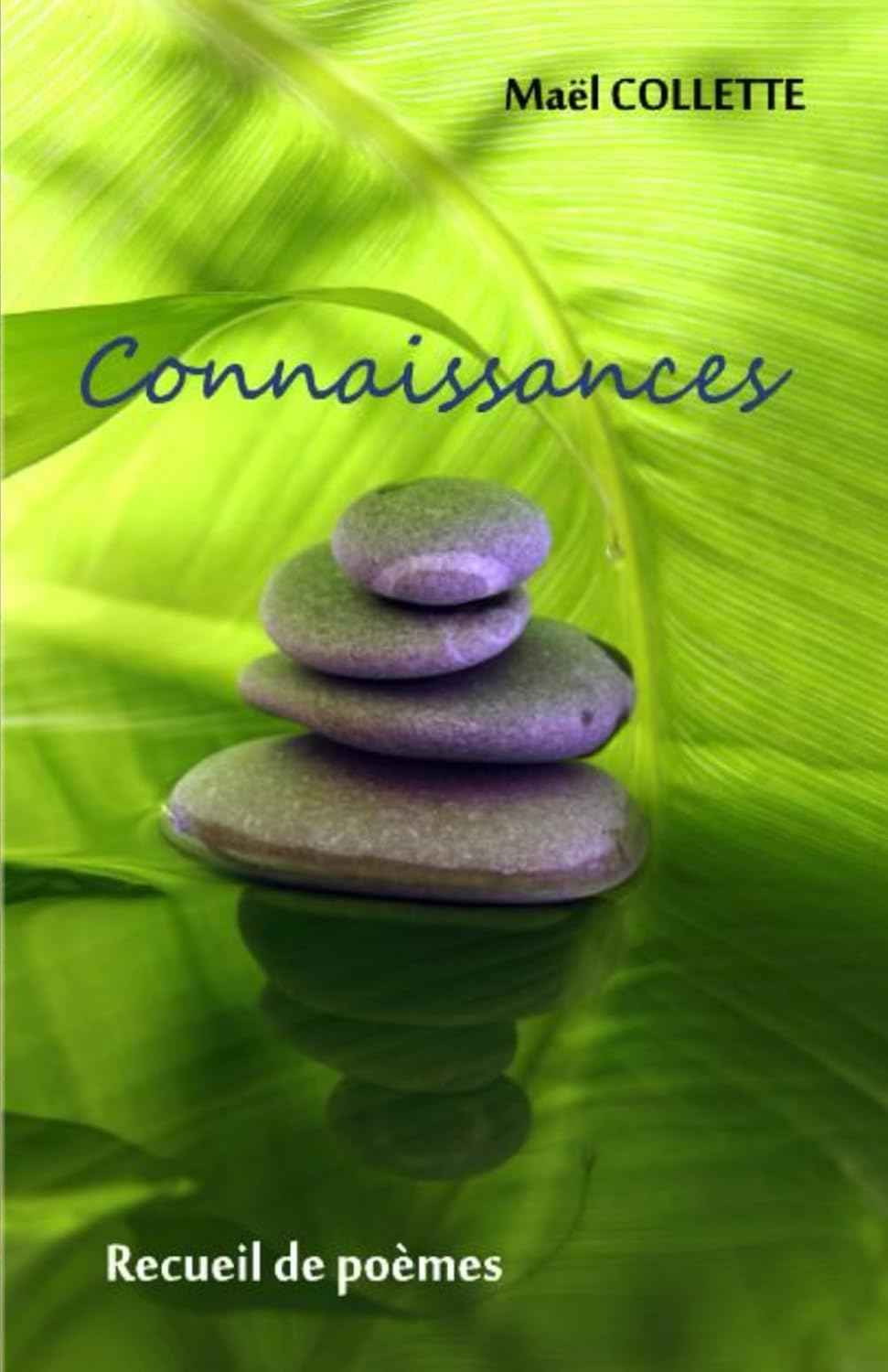Livre Connaissances